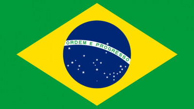 Brazilian Flag-Entrepreneurial Mindset Profile (EMP)